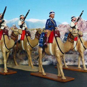 NAVAL BRIGADE CAMEL CORPS