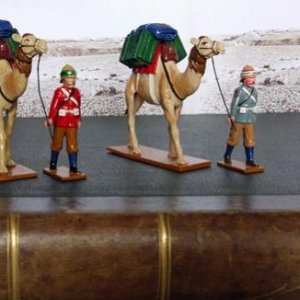 PACK CAMELS