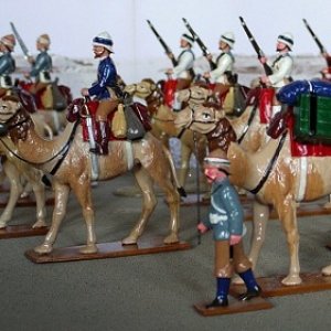 CAMEL CORPS