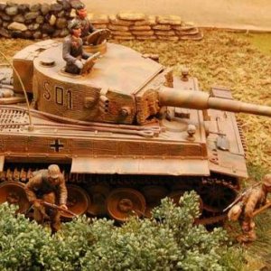 Tiger1w