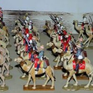 CAMEL CORPS