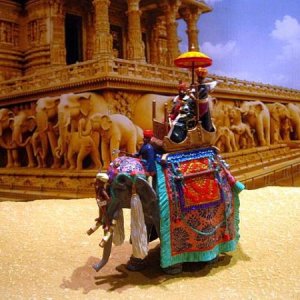 BG100 Narsinhgharh Elephant