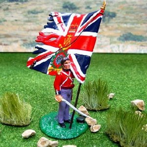 Royal Marines-Light Infantry Standard Bearer