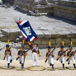 NE27 B Porte-Drapeau (Sous Officer), 85th Demi Brigade holding aloft the 1798 Flag of the French Republi9c.