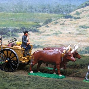 AR 20-Chuck Wagon 1780 style.