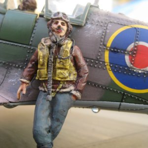 Spitfire pilot