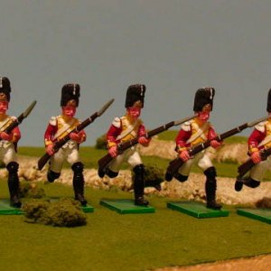 WA39V - 1st Swiss Regiment Grenadiers