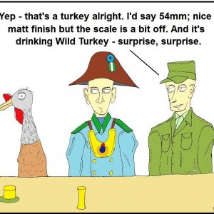 16 wild turkey