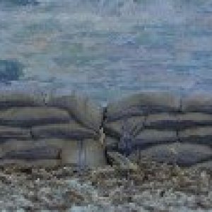 51002 MEALIE BAG WALL