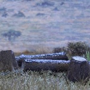 17910 FALLEN TREE AND STUMP ACCESSORY SET