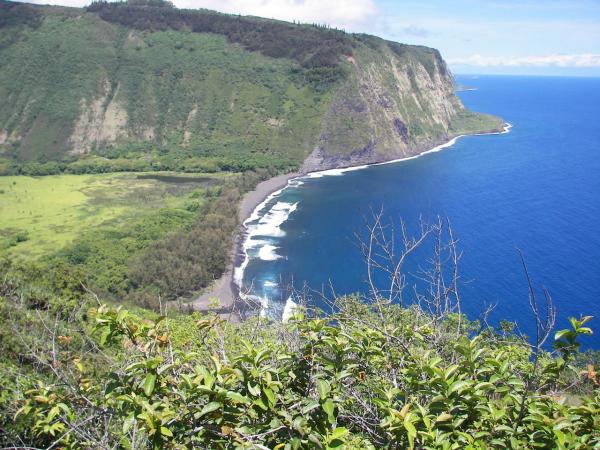 100 1564

Waipio pt.