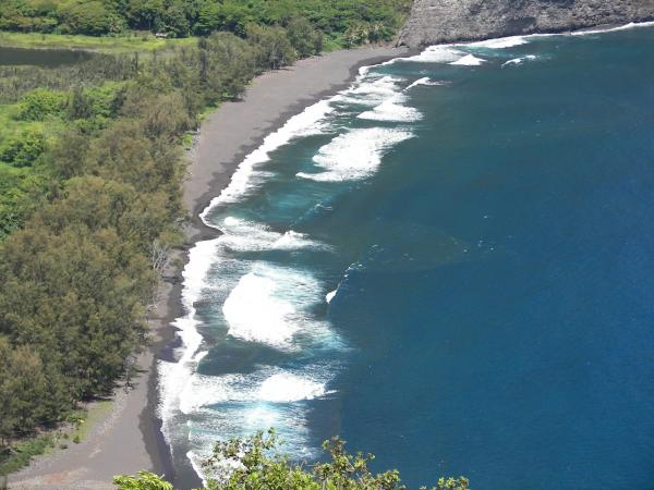 100 1566
Beach at Waipio