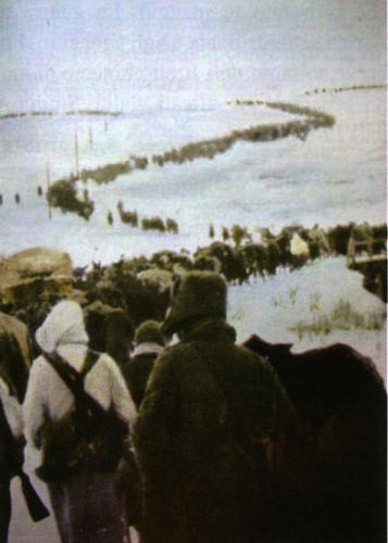 14221303161 52643fa4a3