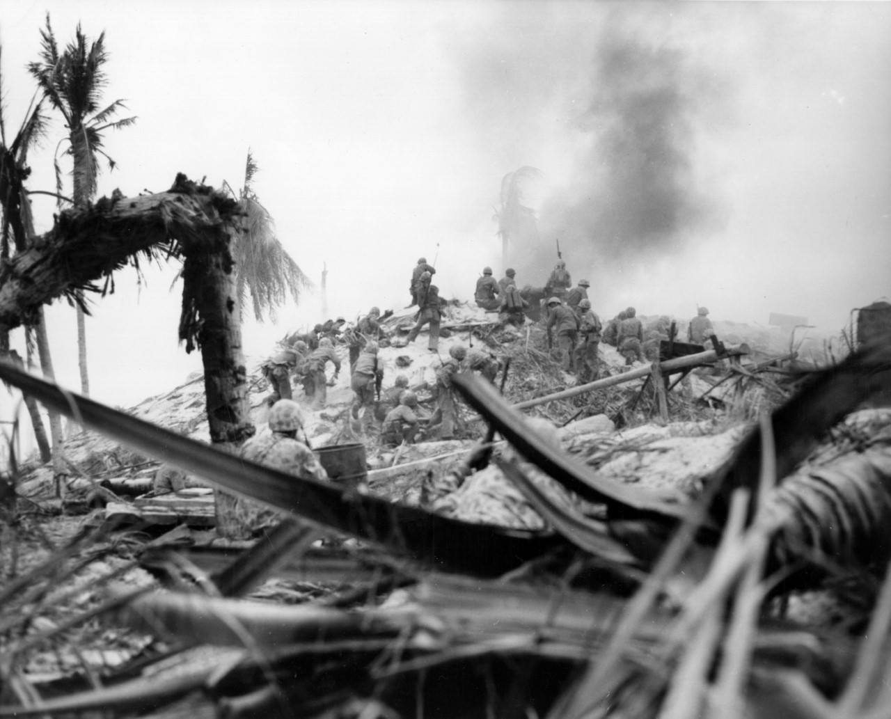 211450877 617928672504095 8451526027153142240 n