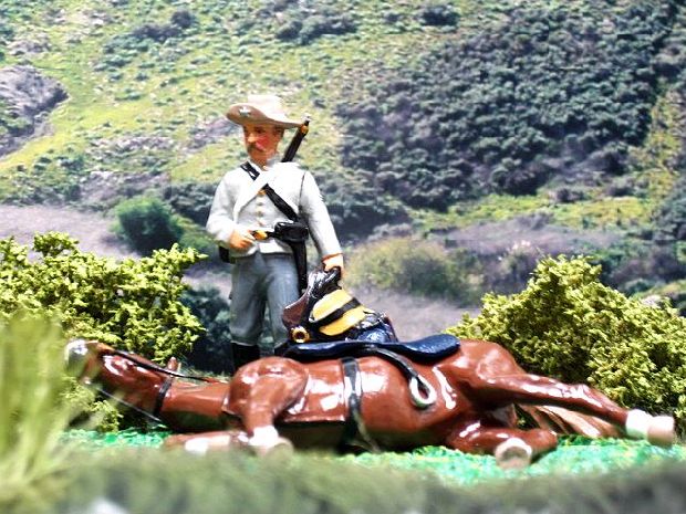 ACW23ELT Tom Burney of Terry's Texas Rangers with downed horse