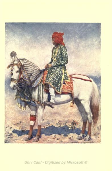 Alwar Peforming Horse   Menpes