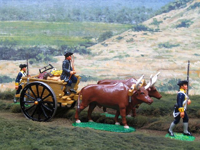 AR 20-Chuck Wagon 1780 style.