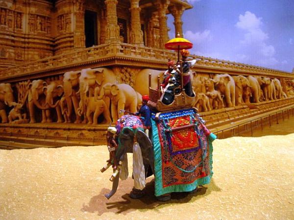 BG100 Narsinhgharh Elephant