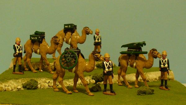 British Camel Artillery