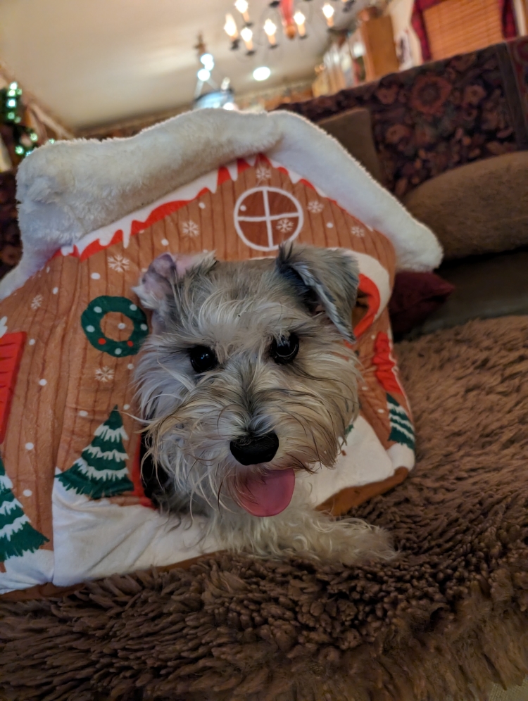 ChristmasPepperb2023