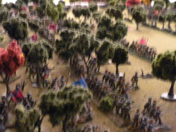 Confederate Side (Right Flank) - Sorry for the blurry photo, camera shook when the guns started to fire.