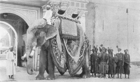 Elephant of Jaipur(2)