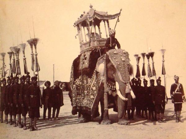 Elephant of Mysore