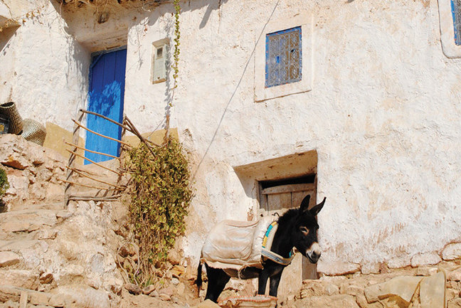 FFL southern morocco spring walking 56220