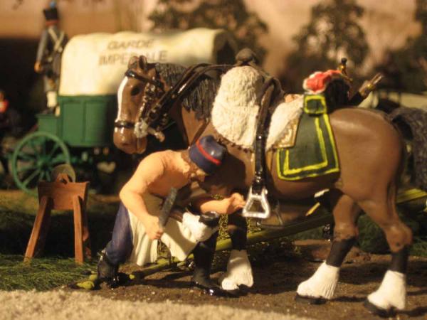 French farrier closeup.