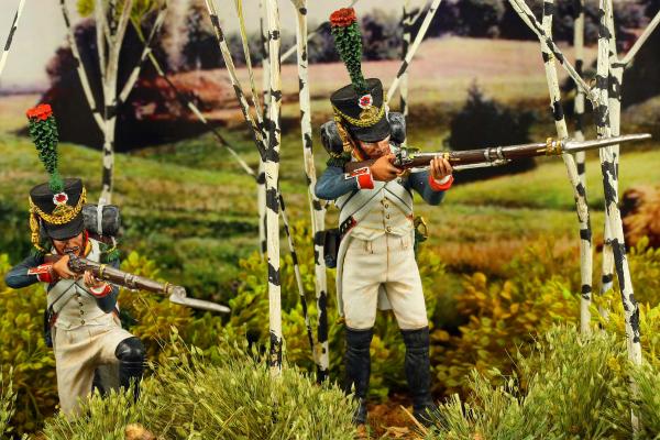 French Line Infantry, 85th Regiment, Borodino 1812

IMG 1598(TF)