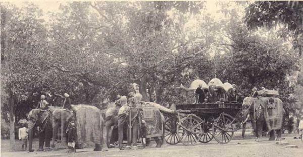 Golden elephant 'four in hand' owned by the Majarajah of Darbhanga.