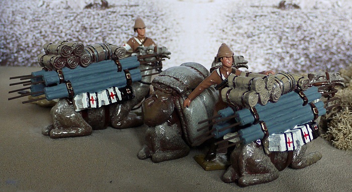 HOSPITAL ZEREBA   ABOU KLEA   SUPPLY CAMELS