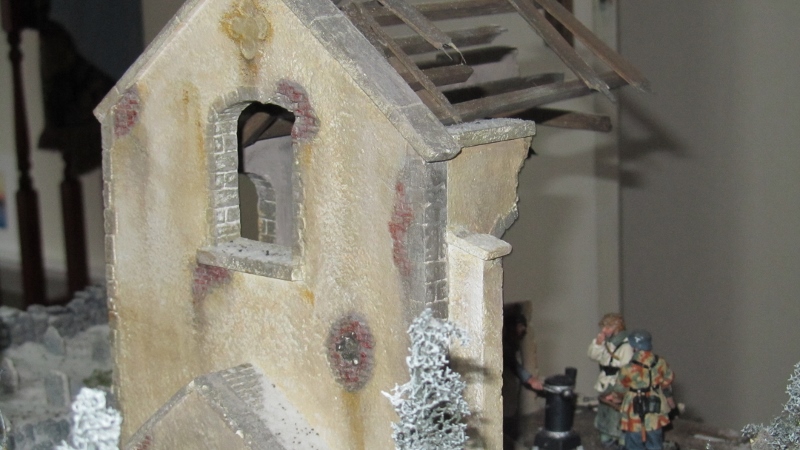 IMG 1230 (800x450)