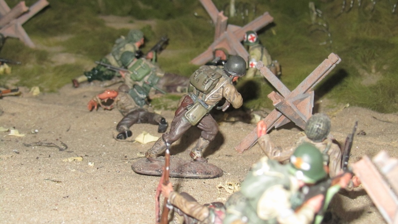 IMG 1262 (800x450)