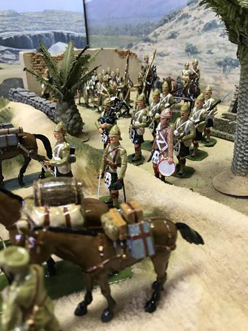 IMG 7814 (Copy) (Copy)