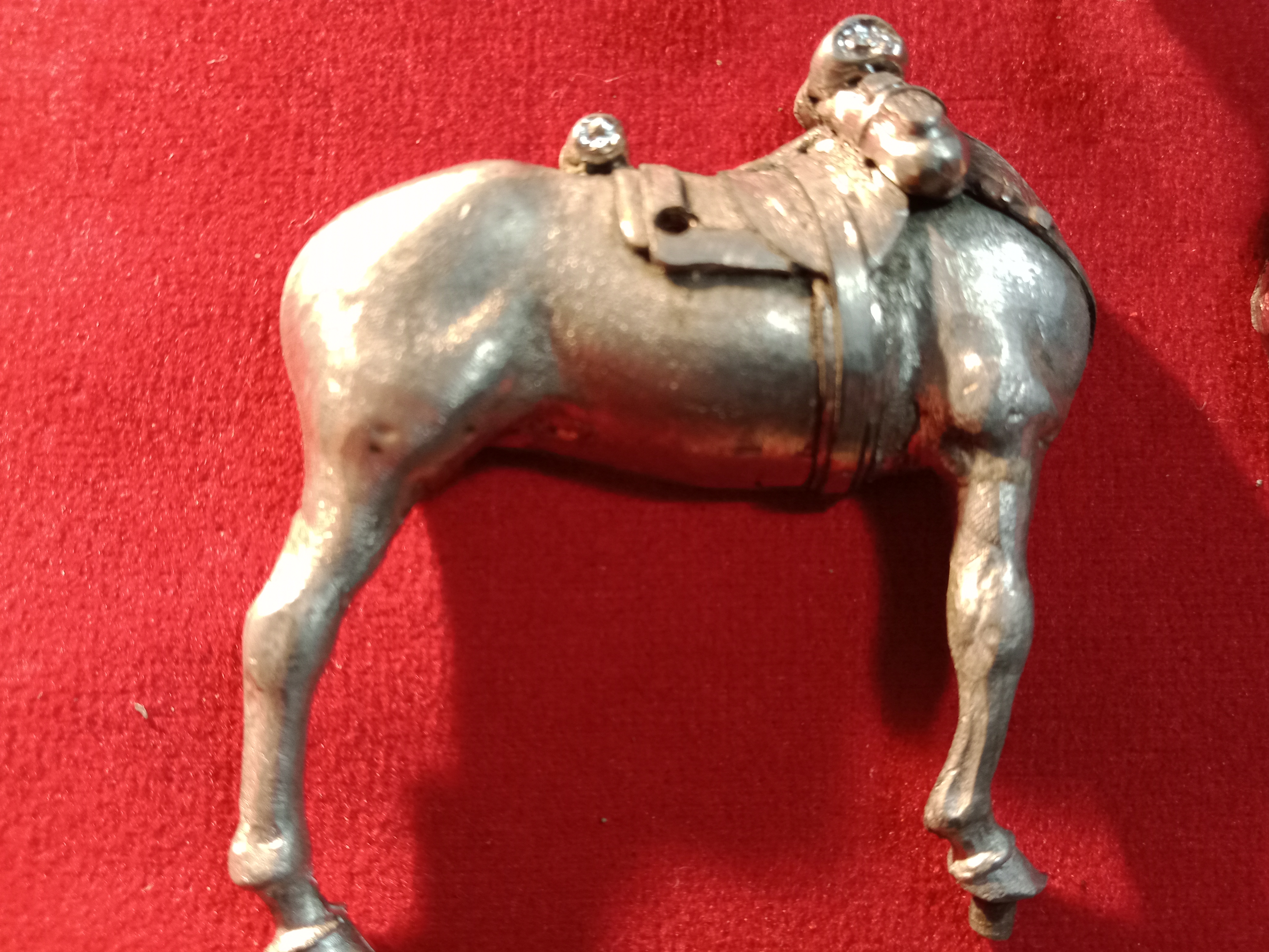 IMG_2024-04-22-14-29-06-815 (1).jpg