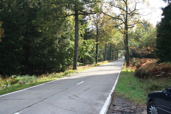 Looking north up the good road through the western edge of the Hurtgen Forest