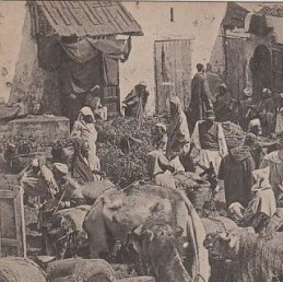 MAROC   CASABLANCA   le march  du charbon vers 1910   tr s bon  tat