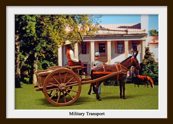 Military Transport