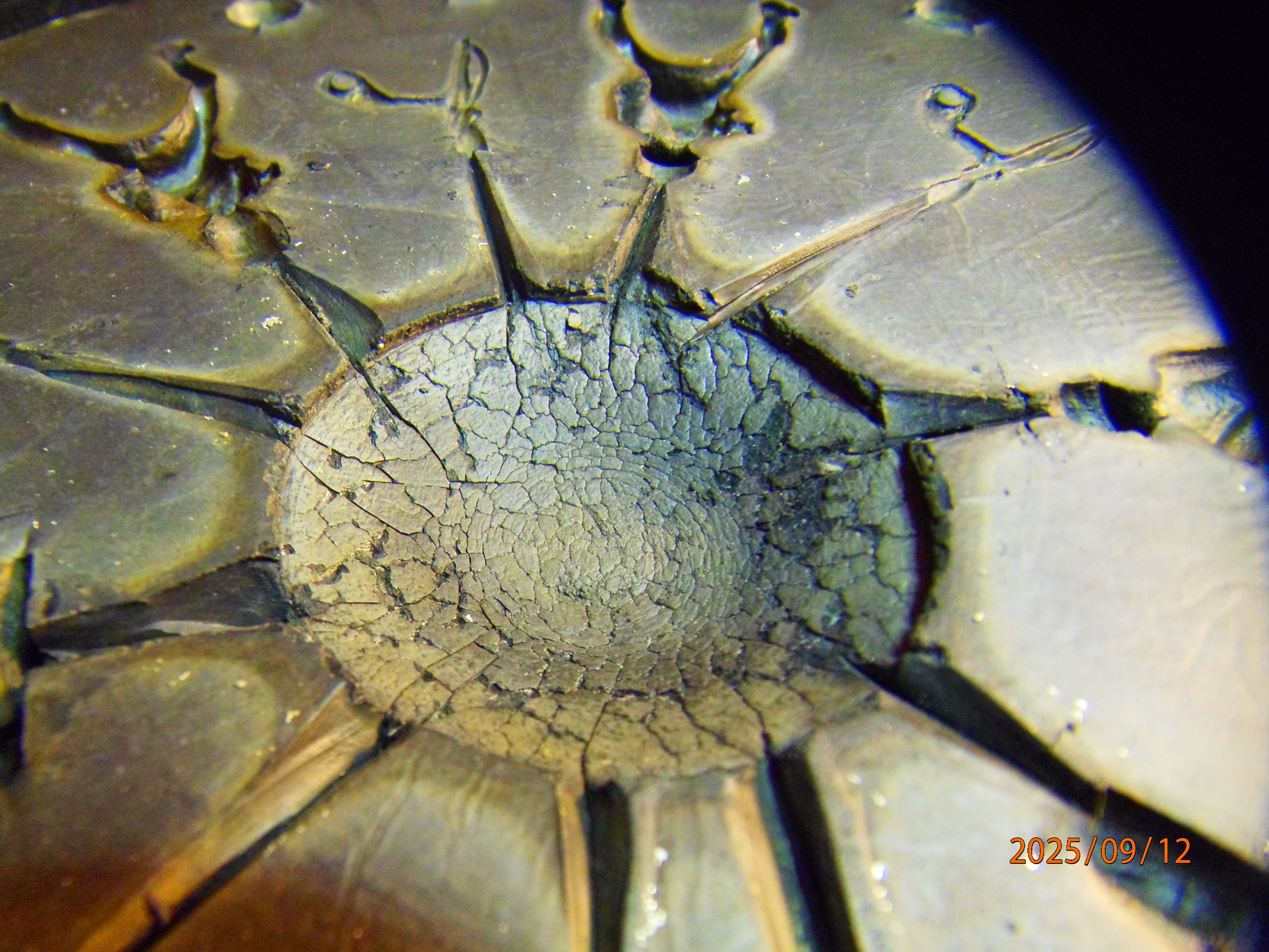 P9121318 - Copie.JPG