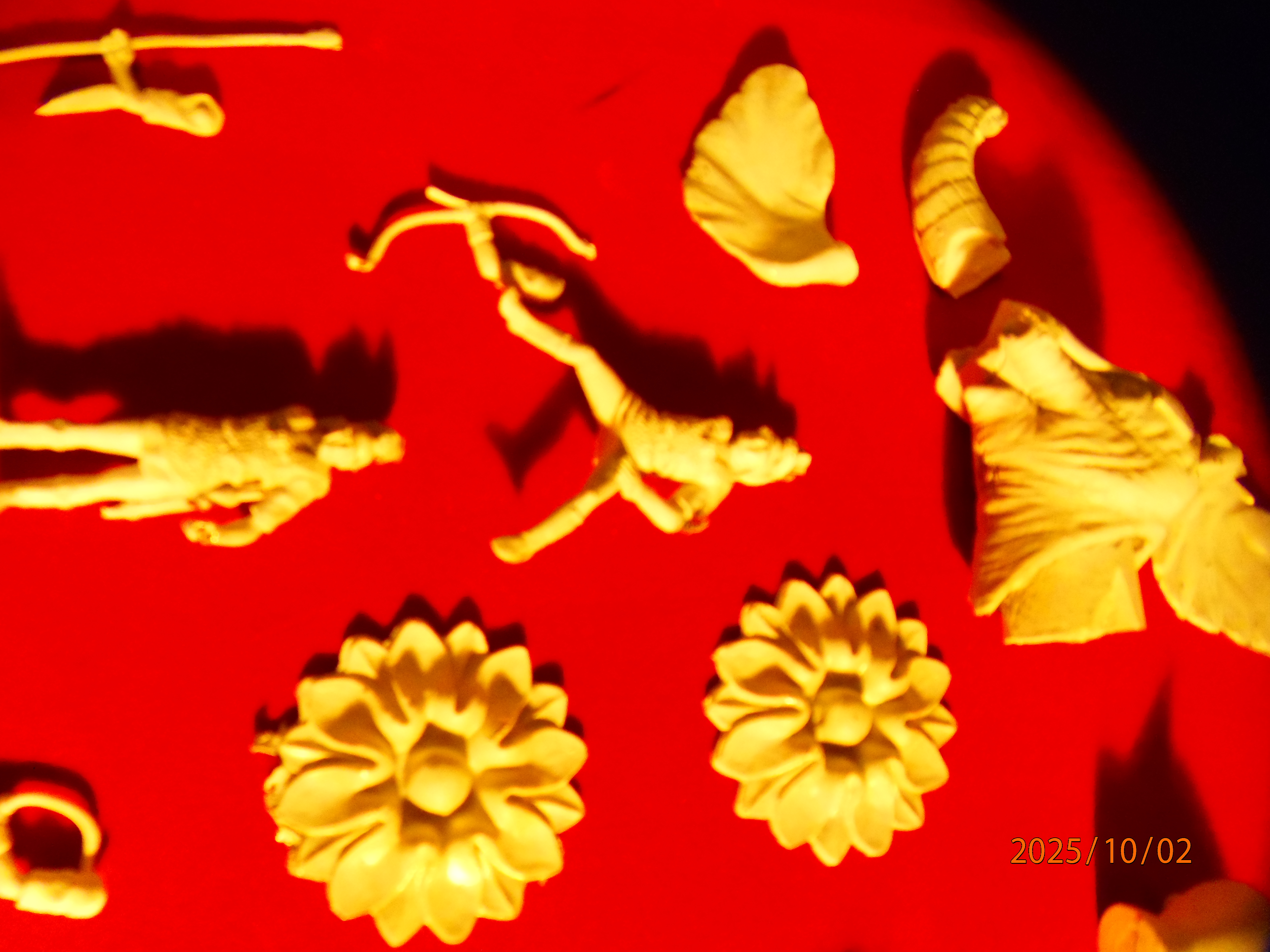 PA021436 - Copie.JPG