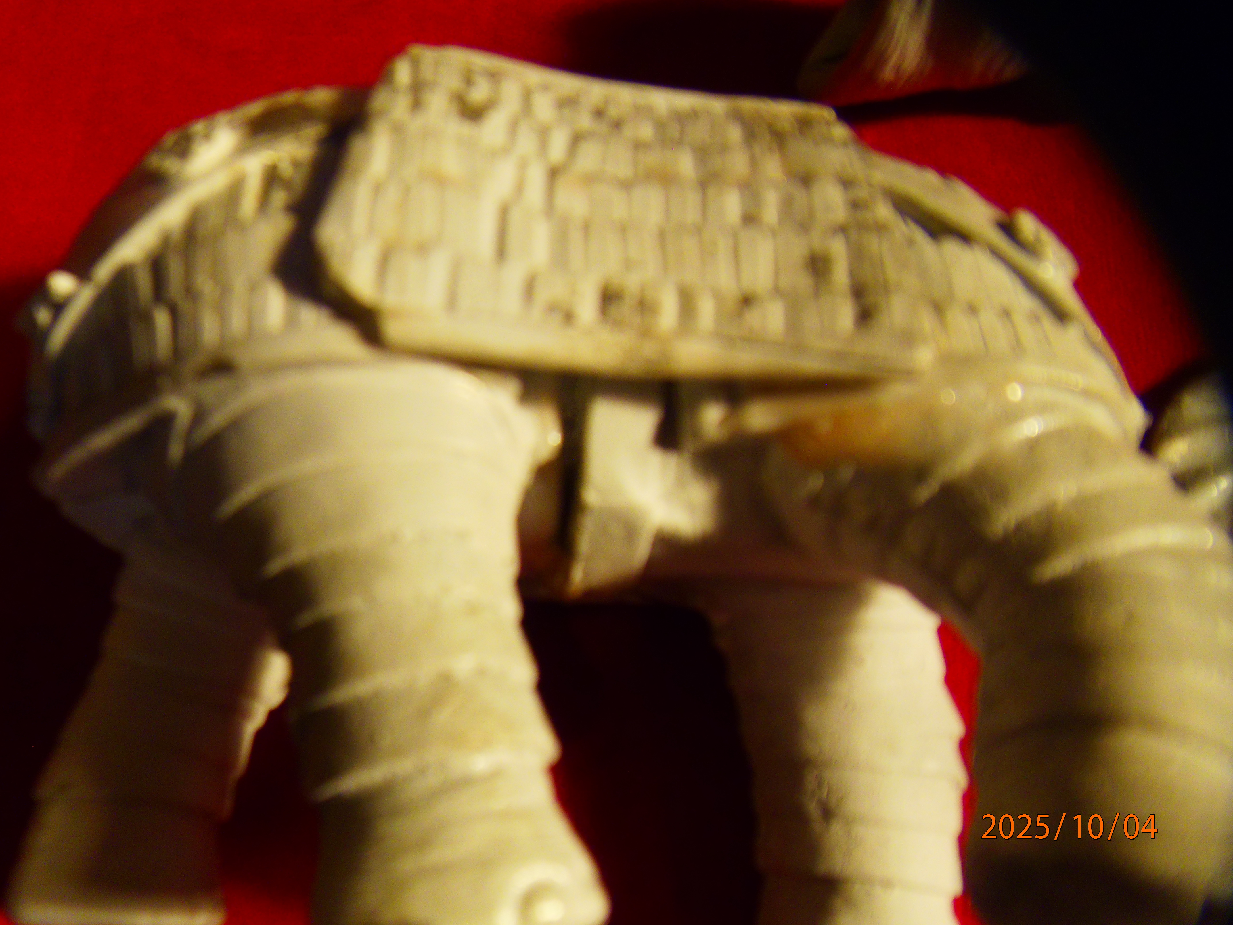 PA041454 - Copie.JPG