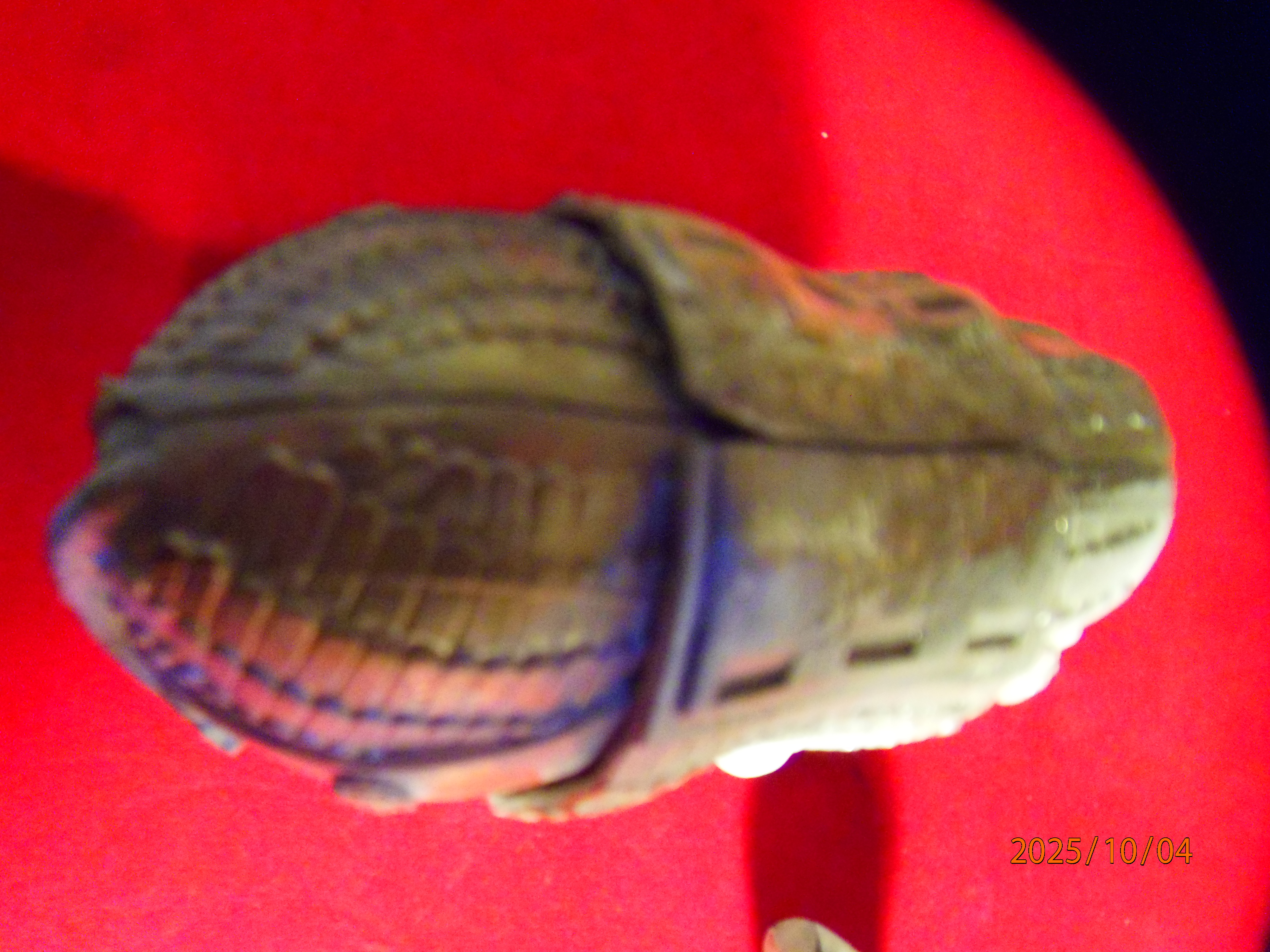 PA041455 - Copie.JPG