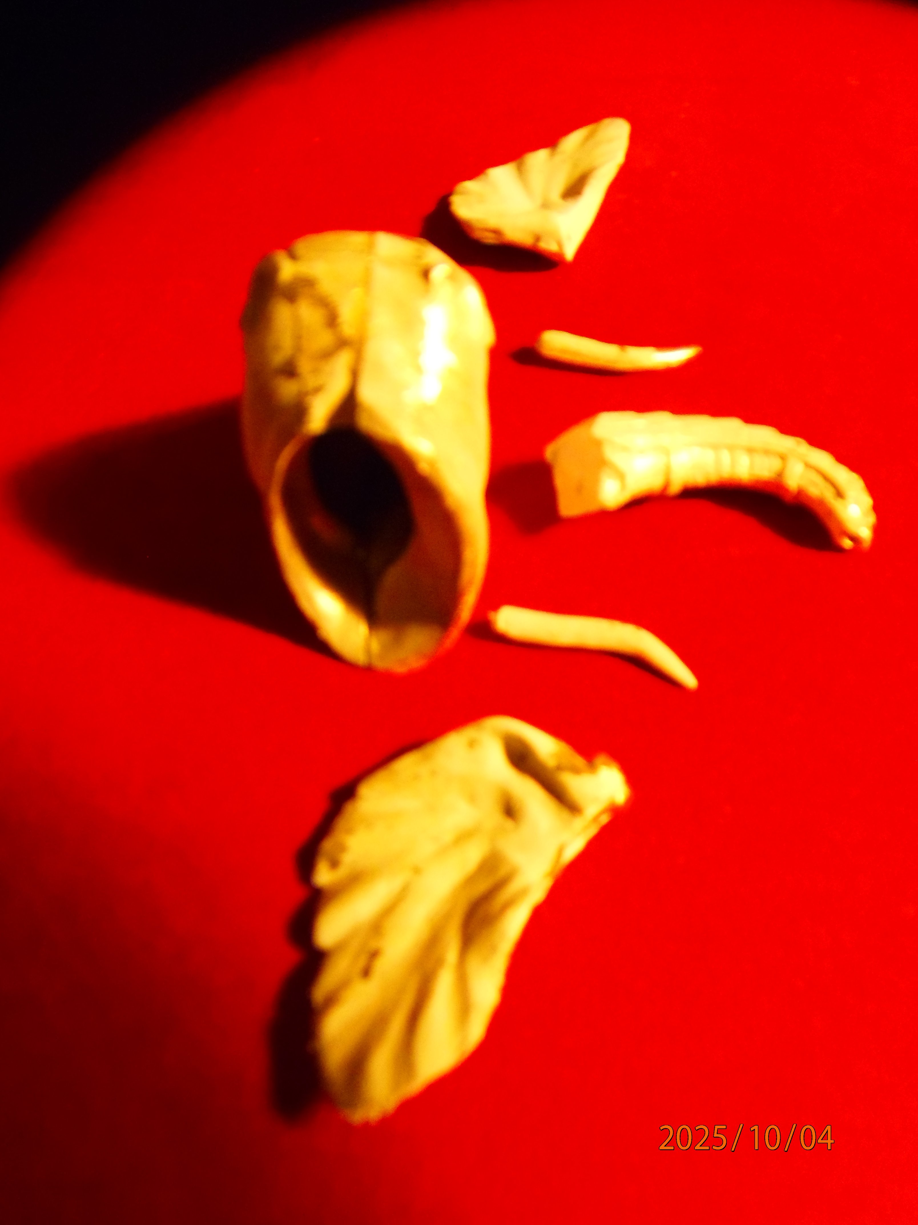 PA041456 - Copie.JPG