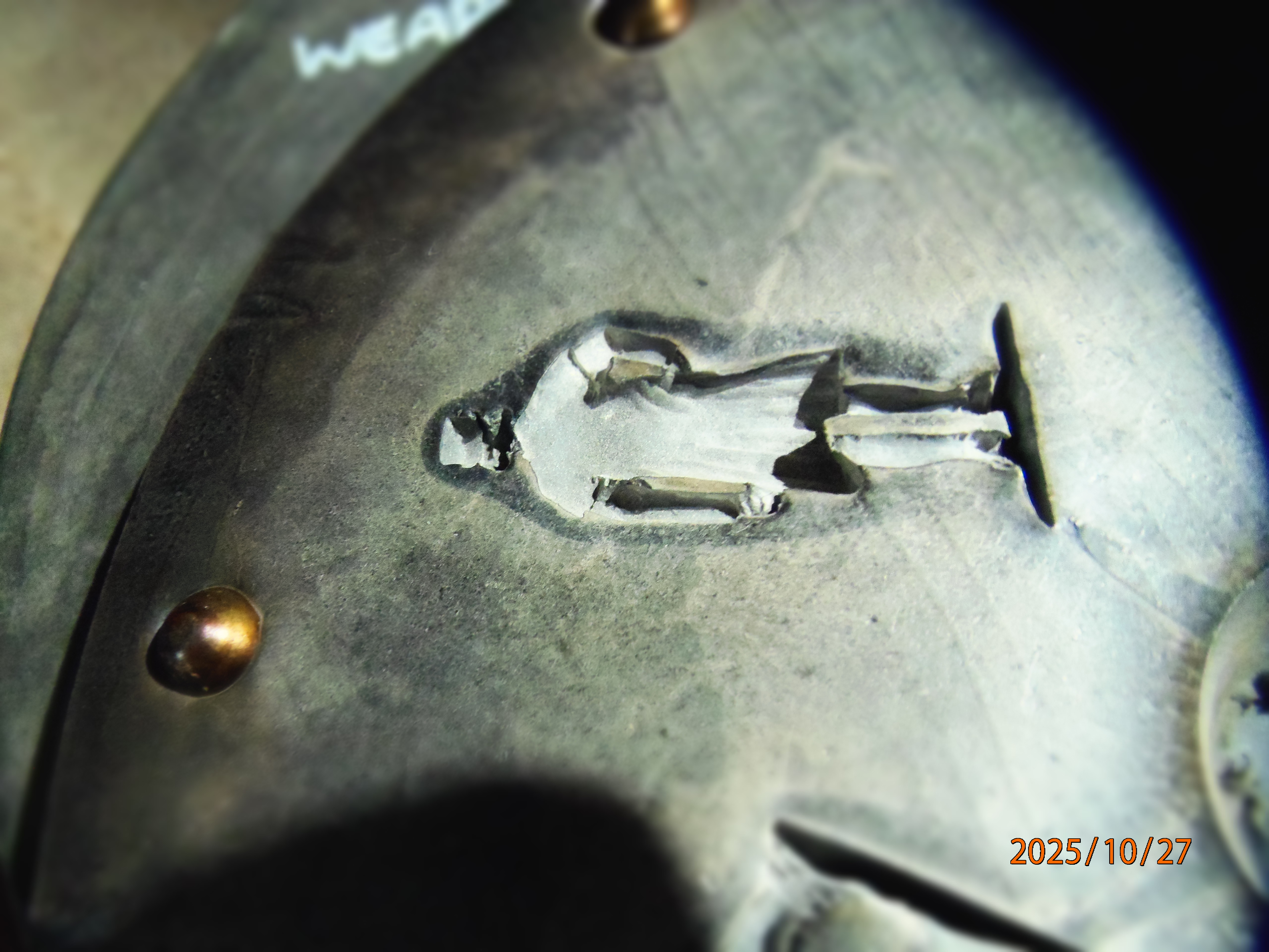 PA271644 - Copie.JPG