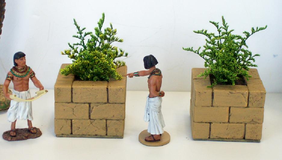 planter (3)