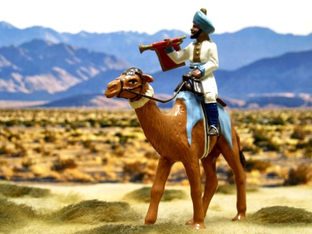 PW 15C Udaipur State Force Buglar