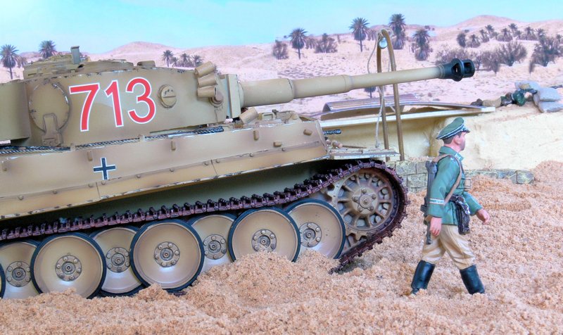 tiger8