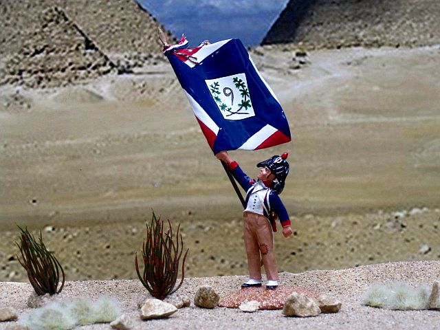 Trophy NE28, 9th Demi-Brigade Grenadier Porte-Drapeau(Sous Officer)