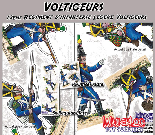 voltigeurs box plate details